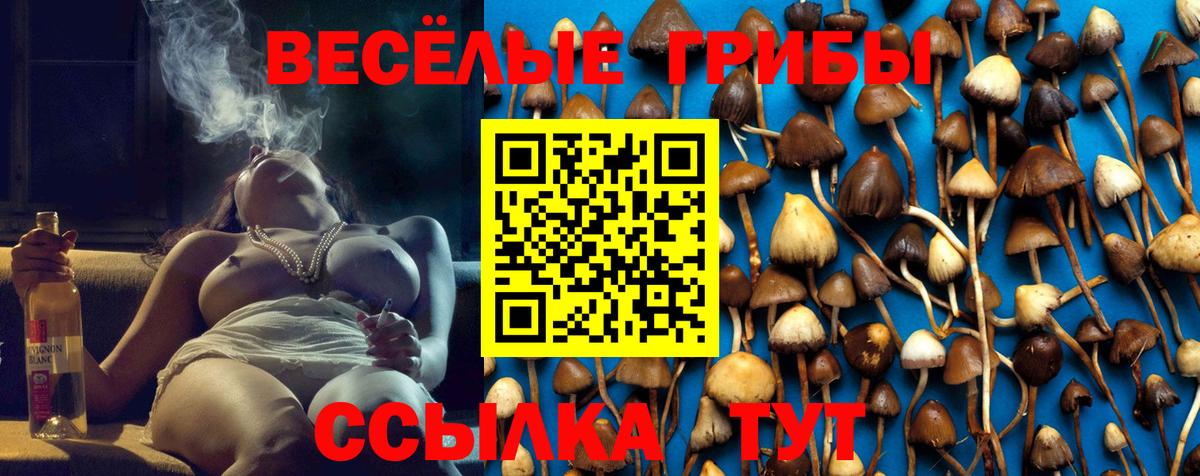 Псилоцибиновые грибы GOLDEN TEACHER  купить наркотик  Урай  Вход с VPN 